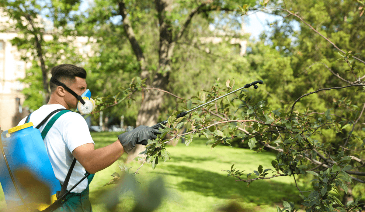 Tree Pest Control